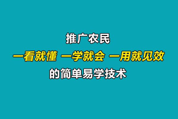 推廣技術(shù).jpg