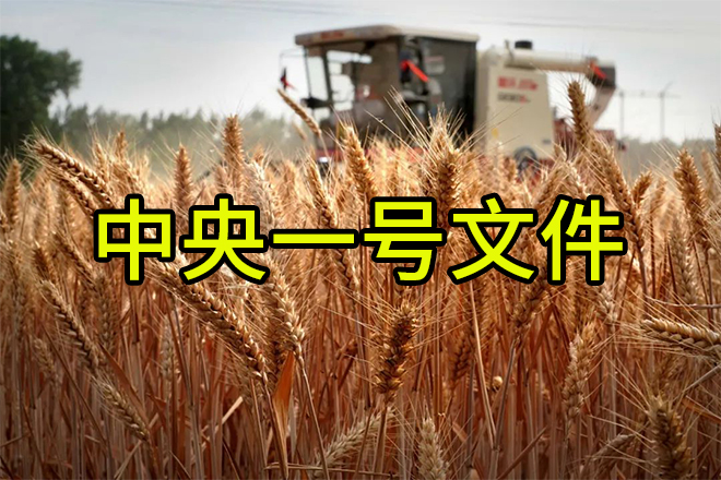 一號文件.jpg